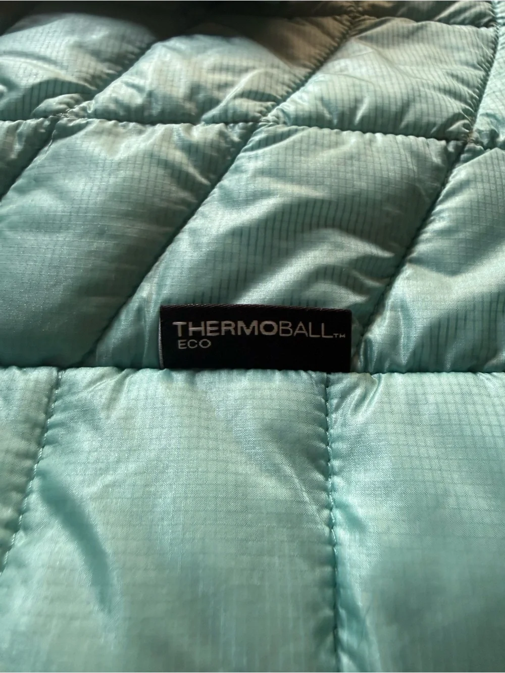 The North Face Men’s Light Aqua Quilted Puffer Jacket
